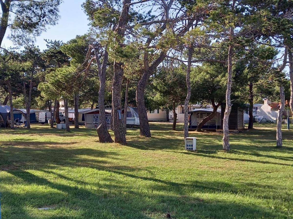 Sand & Relax Privlaka - Mobile Home Gloria Extérieur photo